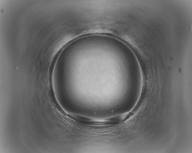 X0000064751173200602101205