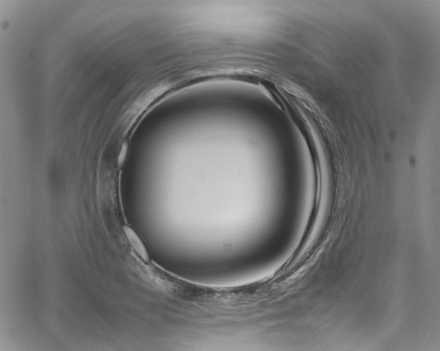 X0000064751177200602101205