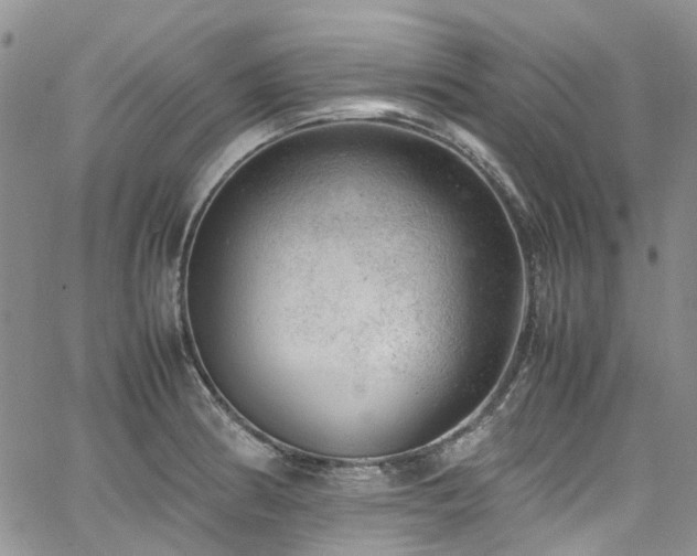 X0000064751186200602101205