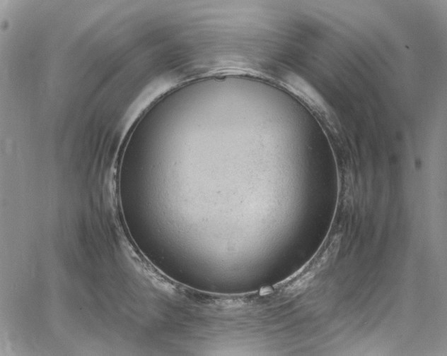 X0000064751190200602101205