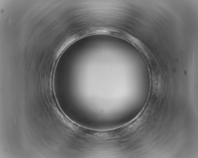 X0000064751194200602101205