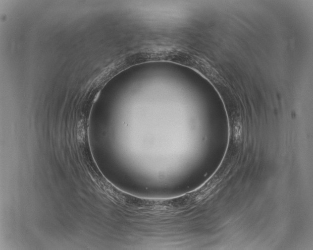 X0000064751204200602101204