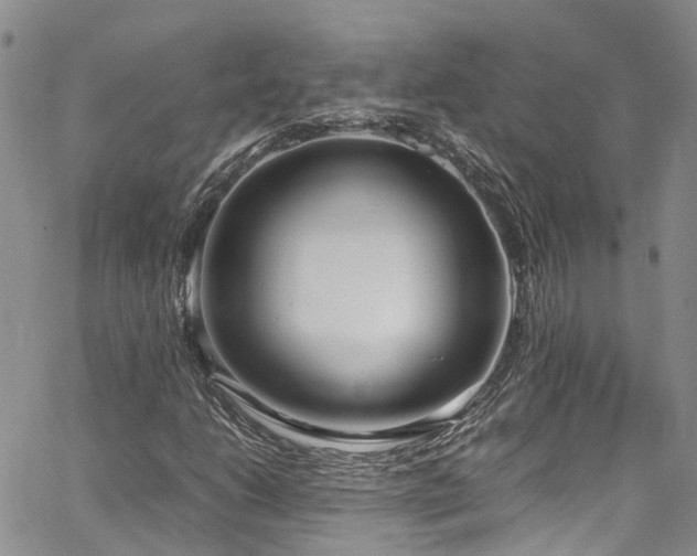 X0000064751206200602101204