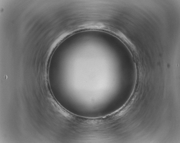 X0000064751240200602101205