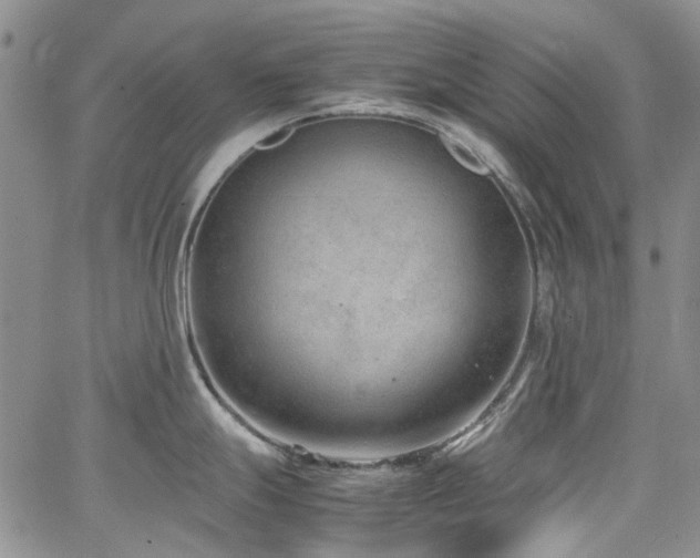 X0000064751247200602101205
