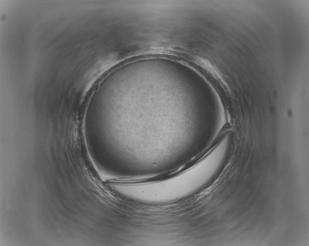 X0000064751260200602101204