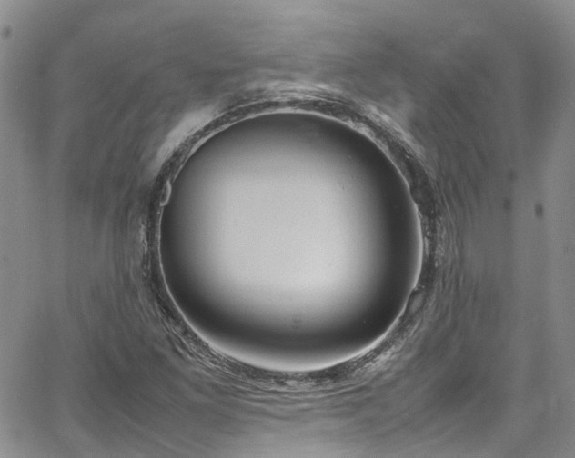 X0000064751261200602101204