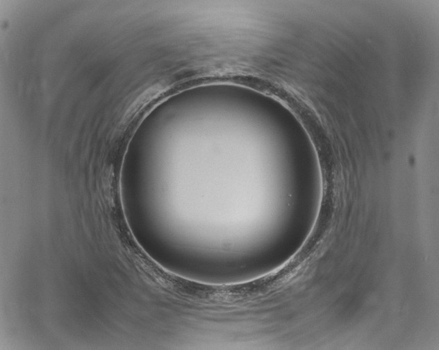 X0000064751265200602101204