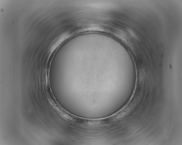 X0000064751274200602101203