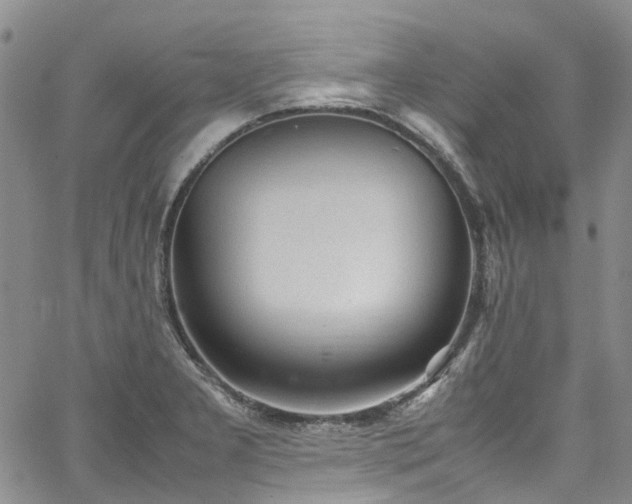 X0000064751277200602101203
