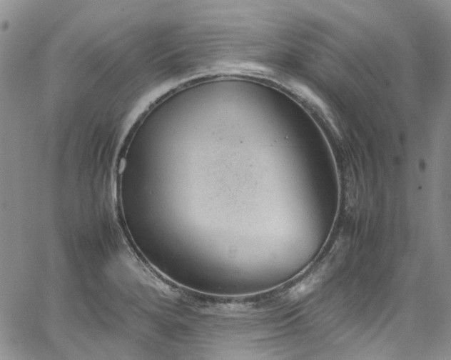 X0000064751280200602101203