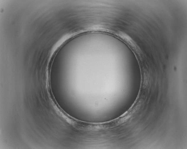 X0000064751286200602101203