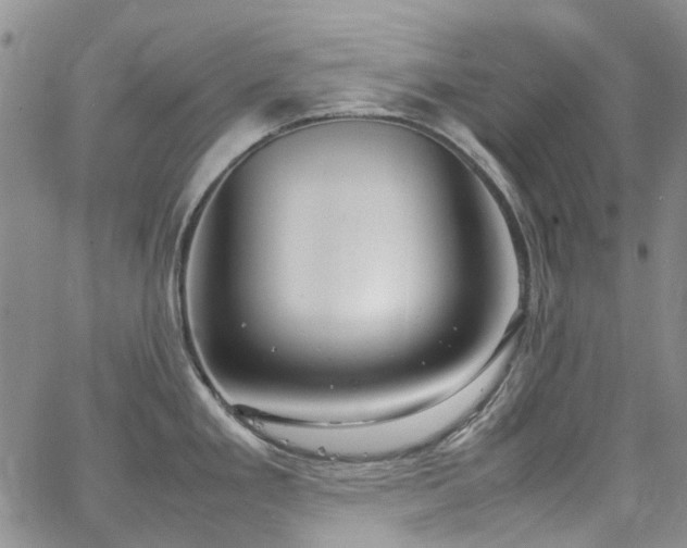 X0000064751293200602101203