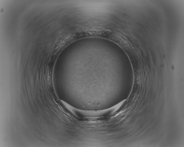X0000064751298200602101202