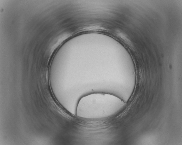 X0000064751322200602101203