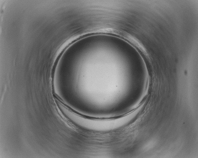 X0000064751332200602101203