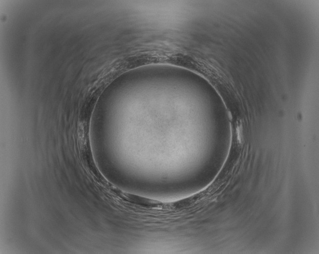 X0000064751347200602101202