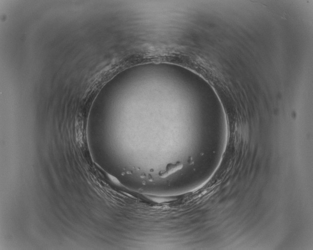 X0000064751348200602101202