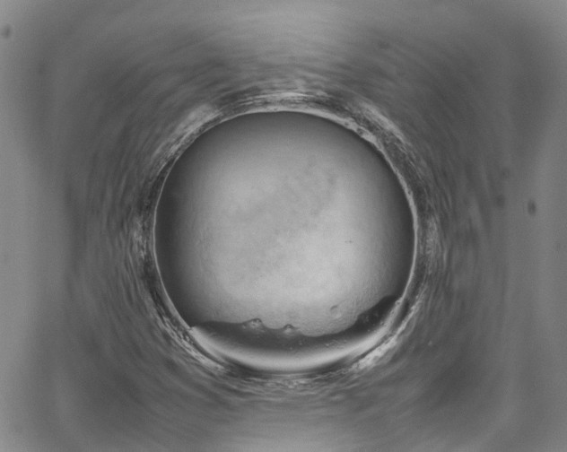 X0000064751353200602101202
