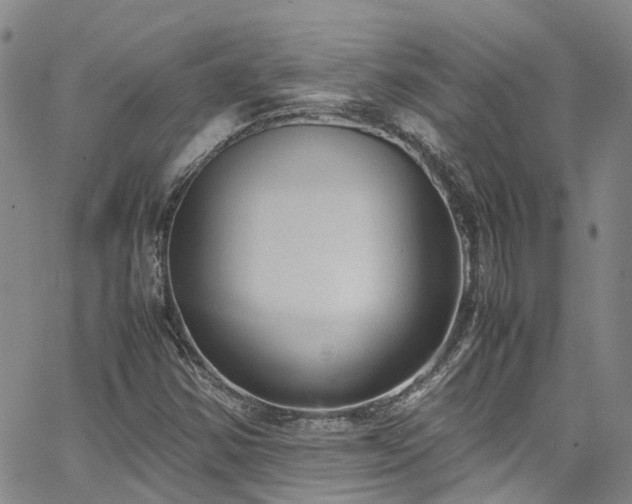 X0000064751354200602101202