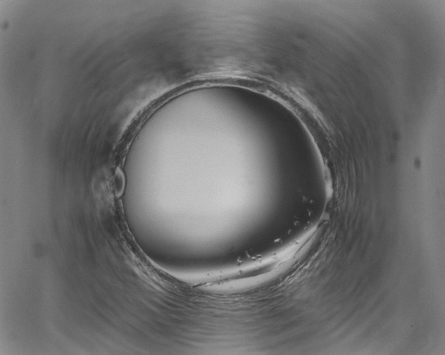 X0000064751356200602101202