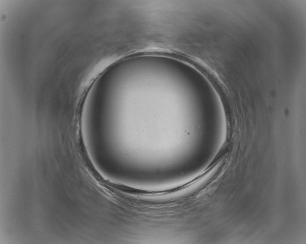 X0000064751367200602101202