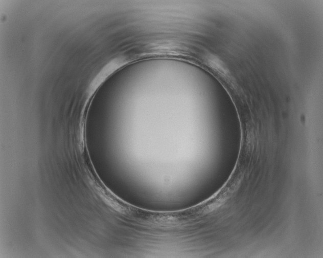 X0000064751370200602101202