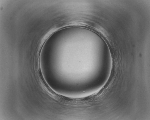 X0000064751371200602101202