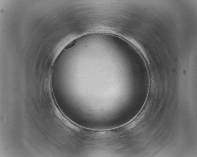 X0000064751390200602101202