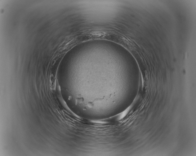 X0000064751394200602101201