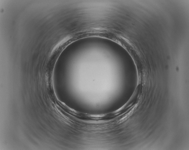 X0000064751402200602101201