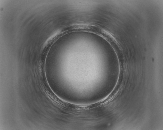 X0000064751403200602101201