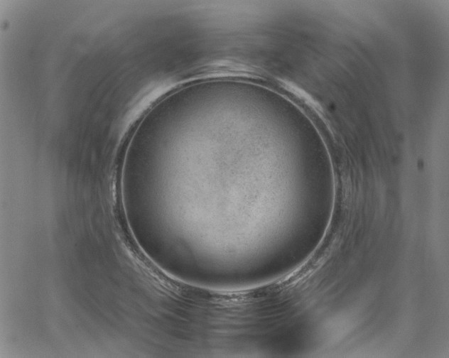 X0000064751415200602101201