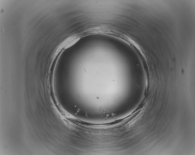 X0000064751434200602101201