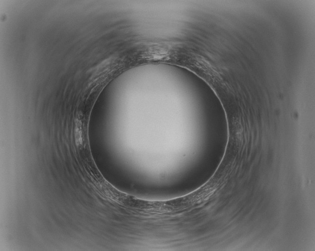 X0000064751442200602101201