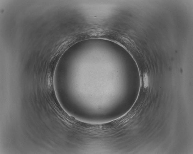 X0000064751444200602101201