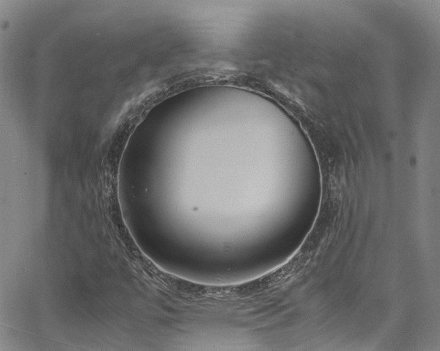 X0000064751447200602101201