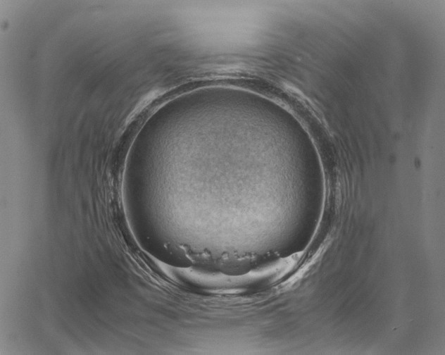 X0000064751449200602101201