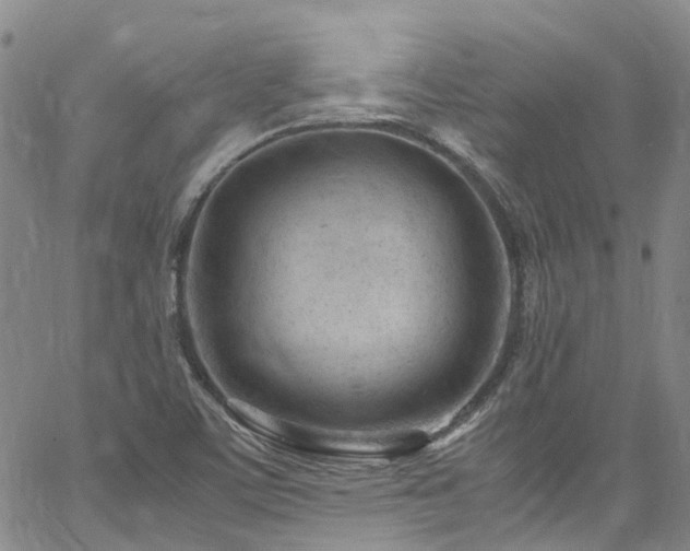 X0000064751459200602101200