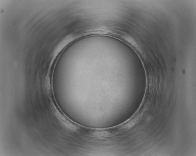 X0000064751466200602101200