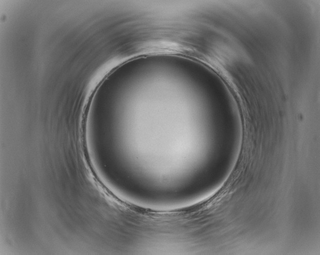 X0000064751488200602101200