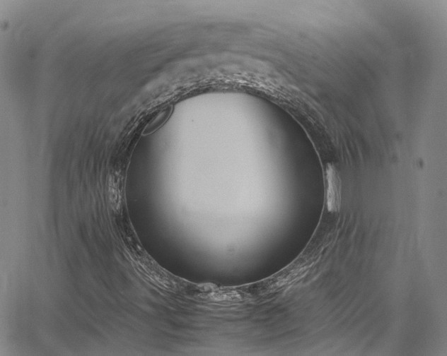 X0000064751491200602101159