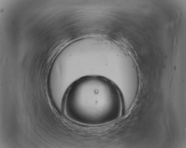 X0000064750001200602131238