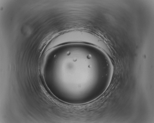 X0000064750002200602131238