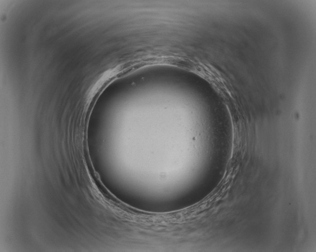 X0000064750003200602131238