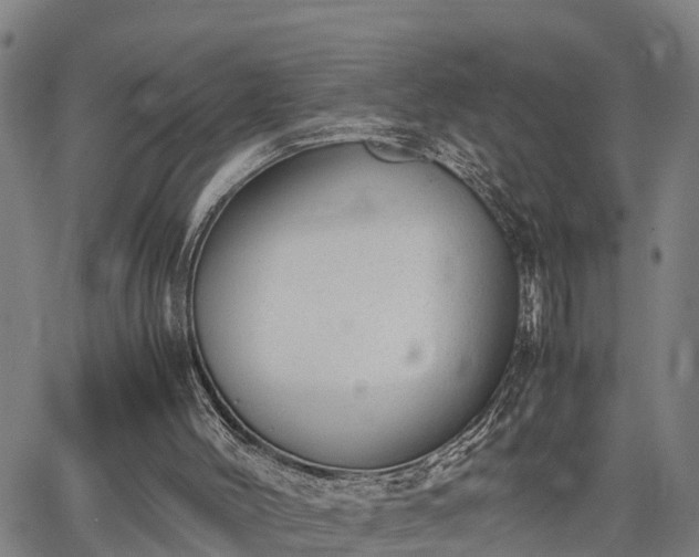 X0000064750004200602131238