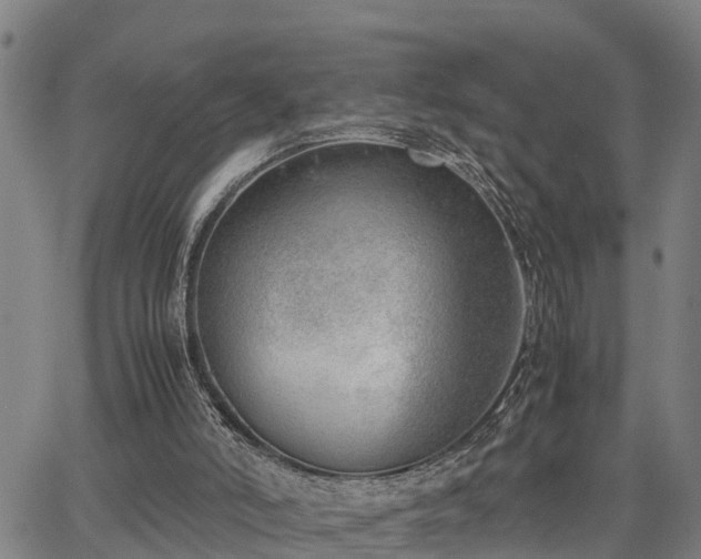 X0000064750006200602131238