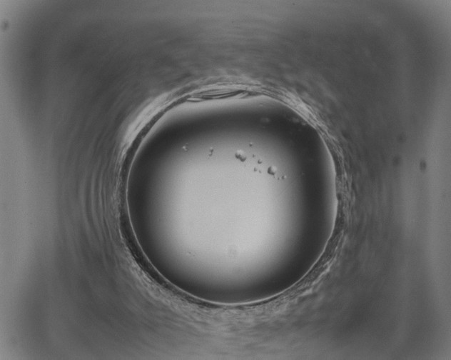 X0000064750007200602131238