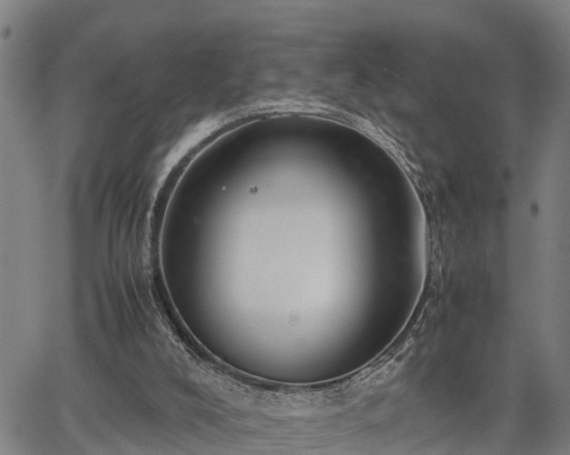 X0000064750008200602131238