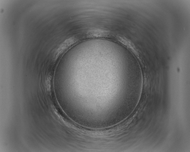 X0000064750010200602131238